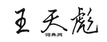 駱恆光王天彪行書個性簽名怎么寫