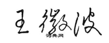 駱恆光王徽波草書個性簽名怎么寫