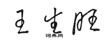 駱恆光王生旺草書個性簽名怎么寫