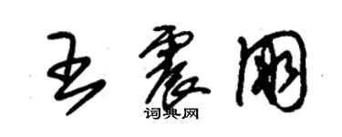 朱錫榮王震朋草書個性簽名怎么寫