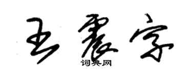 朱錫榮王震字草書個性簽名怎么寫