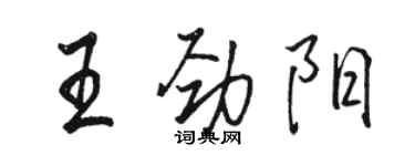 駱恆光王勁陽行書個性簽名怎么寫