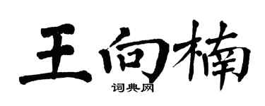 翁闓運王向楠楷書個性簽名怎么寫