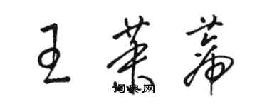 駱恆光王茉蒂草書個性簽名怎么寫