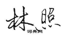 駱恆光林照行書個性簽名怎么寫