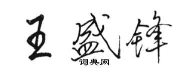 駱恆光王盛鋒行書個性簽名怎么寫