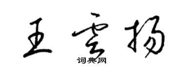 梁錦英王雲揚草書個性簽名怎么寫