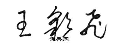 駱恆光王彩飛草書個性簽名怎么寫