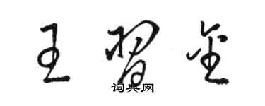 駱恆光王習金草書個性簽名怎么寫