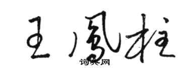 駱恆光王鳳柱草書個性簽名怎么寫