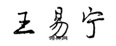 曾慶福王易寧行書個性簽名怎么寫