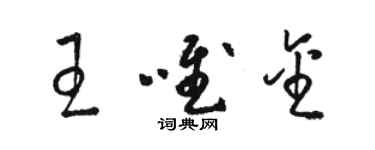 駱恆光王唯金草書個性簽名怎么寫