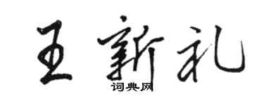 駱恆光王新禮行書個性簽名怎么寫