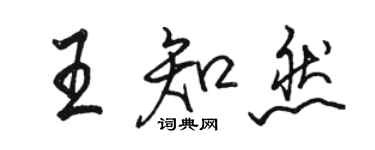 駱恆光王知然行書個性簽名怎么寫
