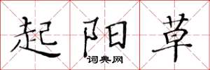 黃華生起陽草楷書怎么寫