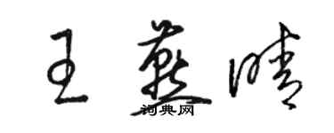 駱恆光王燕晴草書個性簽名怎么寫