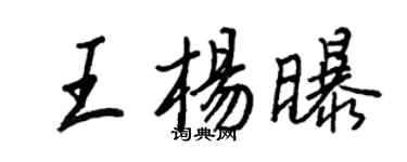 王正良王楊曝行書個性簽名怎么寫