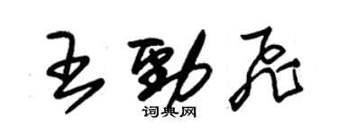 朱錫榮王勁飛草書個性簽名怎么寫