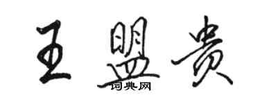 駱恆光王盟貴行書個性簽名怎么寫