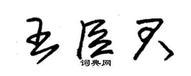 朱錫榮王臣君草書個性簽名怎么寫