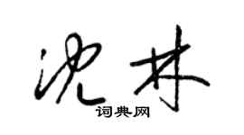 梁錦英沈林草書個性簽名怎么寫