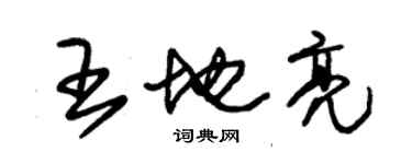 朱錫榮王地亮草書個性簽名怎么寫