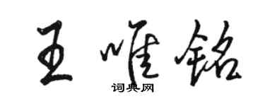 駱恆光王唯銘行書個性簽名怎么寫