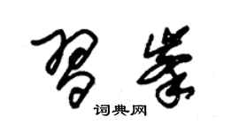 朱錫榮習峰草書個性簽名怎么寫