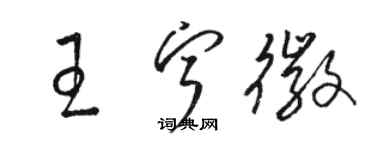 駱恆光王寧徽草書個性簽名怎么寫