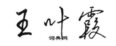 駱恆光王葉霞行書個性簽名怎么寫