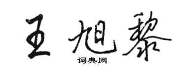 駱恆光王旭黎行書個性簽名怎么寫
