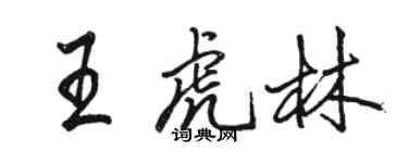 駱恆光王虎林行書個性簽名怎么寫
