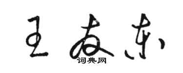 駱恆光王友東草書個性簽名怎么寫