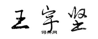 曾慶福王宇堅行書個性簽名怎么寫