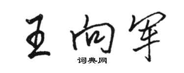 駱恆光王向軍行書個性簽名怎么寫