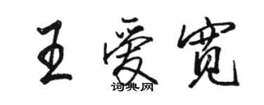 駱恆光王愛寬行書個性簽名怎么寫