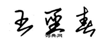 朱錫榮王聖春草書個性簽名怎么寫