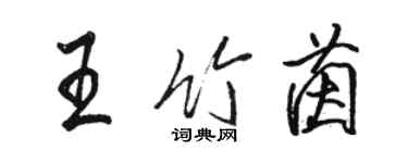 駱恆光王竹茵行書個性簽名怎么寫