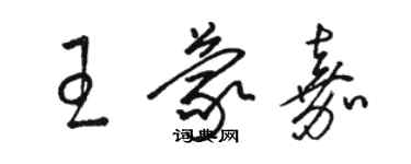 駱恆光王蒙嘉草書個性簽名怎么寫