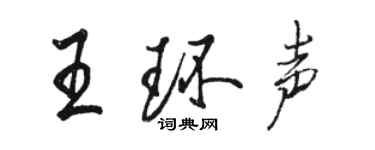 駱恆光王環聲行書個性簽名怎么寫