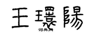 曾慶福王環陽篆書個性簽名怎么寫