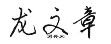 駱恆光龍文章行書個性簽名怎么寫