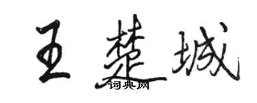駱恆光王楚城行書個性簽名怎么寫