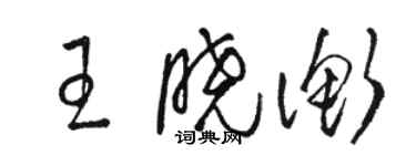 駱恆光王曉衡草書個性簽名怎么寫