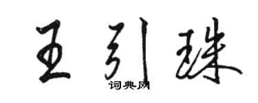 駱恆光王引珠行書個性簽名怎么寫