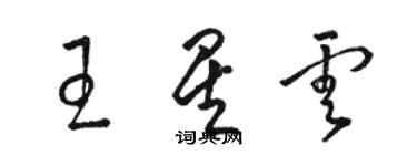 駱恆光王星雲草書個性簽名怎么寫