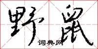 野鼠怎么寫好看