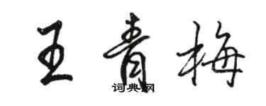 駱恆光王青梅行書個性簽名怎么寫