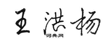 駱恆光王洪楊行書個性簽名怎么寫