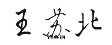 駱恆光王蘇北行書個性簽名怎么寫